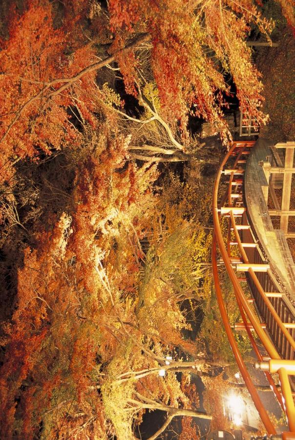 Shinki Hotel Shibukawa Bagian luar foto